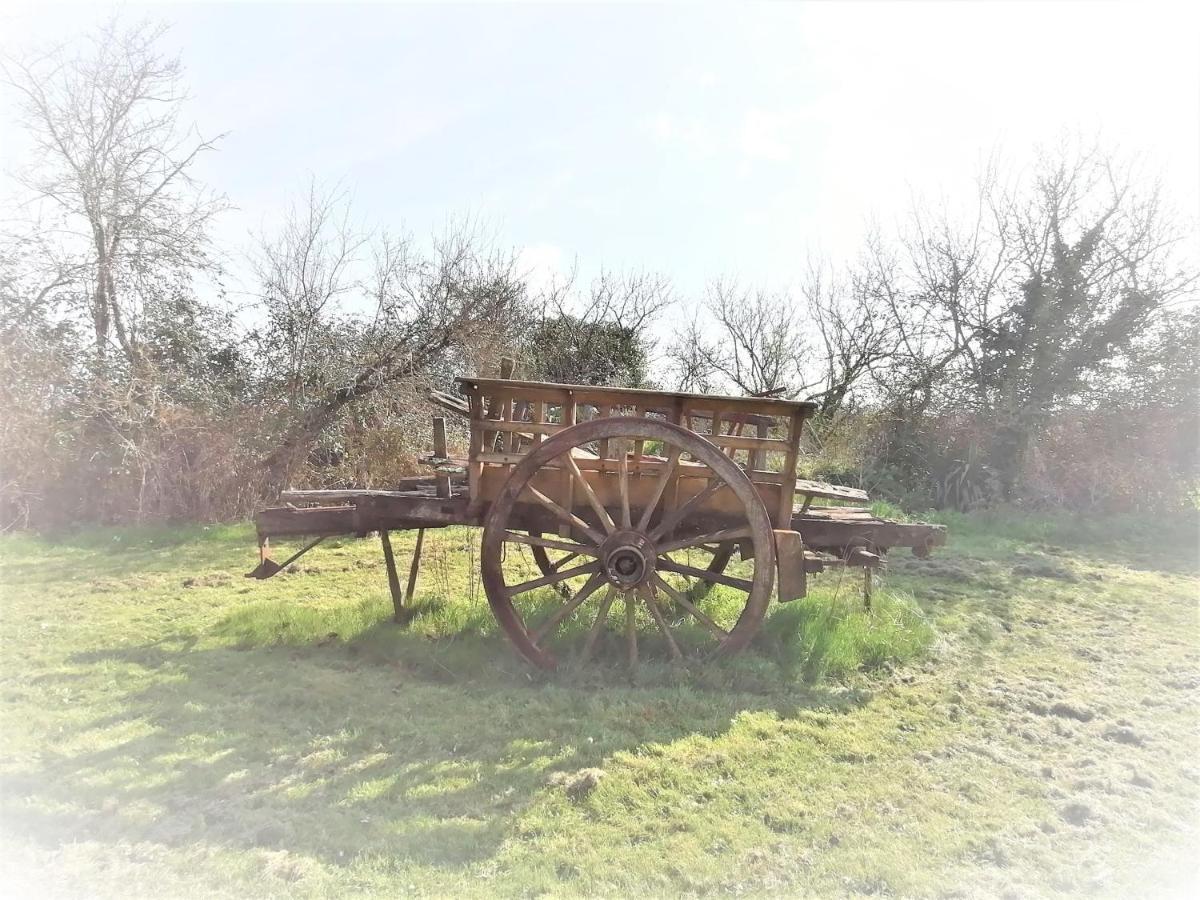 Bed and Breakfast Domaine De Gaia, Piscine, Petanque, Ping Pong, Proche Saint-Emilion Guillac  Екстер'єр фото